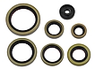  gufera celý motor KTM EXC/SX250 17-24, SX/EXC300 17-25, HUSQ. TE/TC 250/300 17-24, GasGas