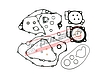  těsnění celý motor HONDA CRF450R CRF450RX 17-18